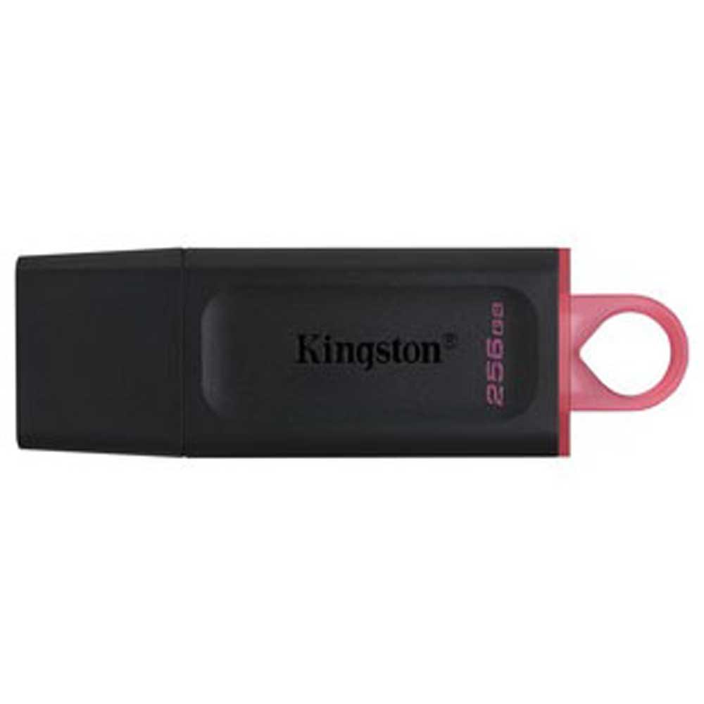 PEN DRIVE KINGSTON 256GB DTX/256GB DATATRAVELER EX